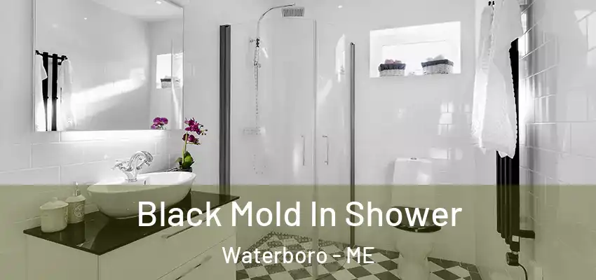  Black Mold In Shower Waterboro - ME