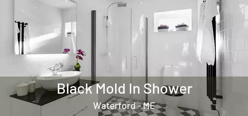  Black Mold In Shower Waterford - ME