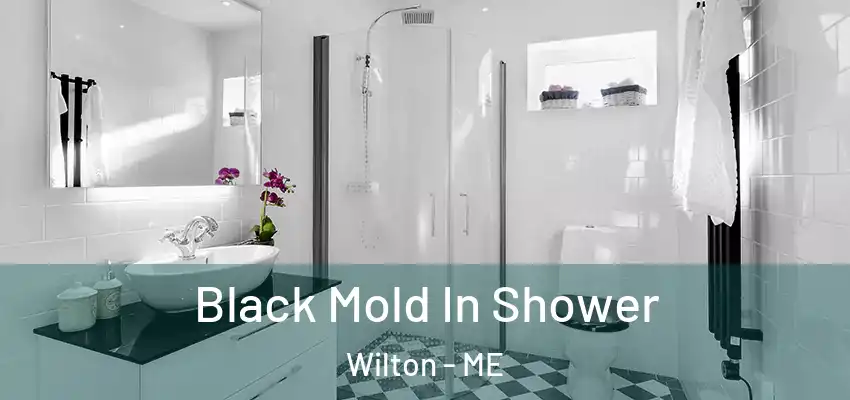  Black Mold In Shower Wilton - ME