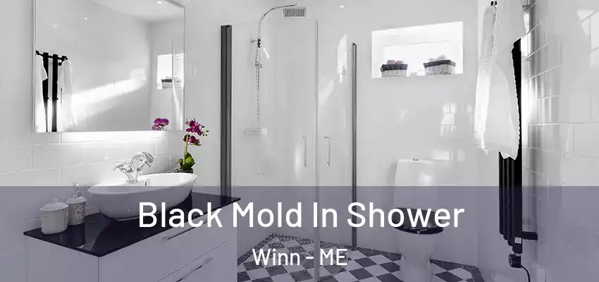  Black Mold In Shower Winn - ME