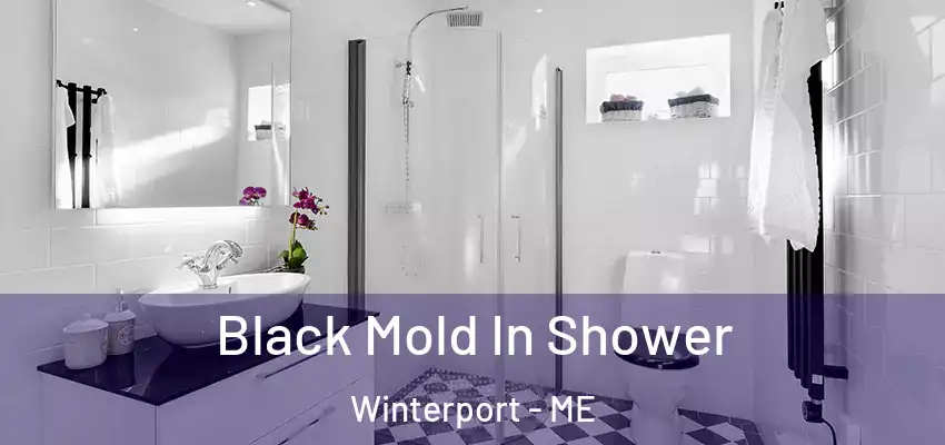  Black Mold In Shower Winterport - ME