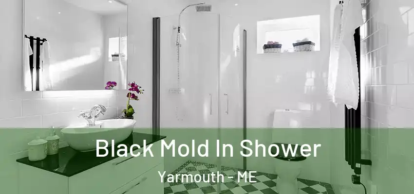  Black Mold In Shower Yarmouth - ME