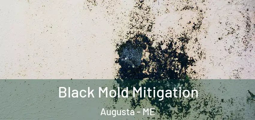  Black Mold Mitigation Augusta - ME