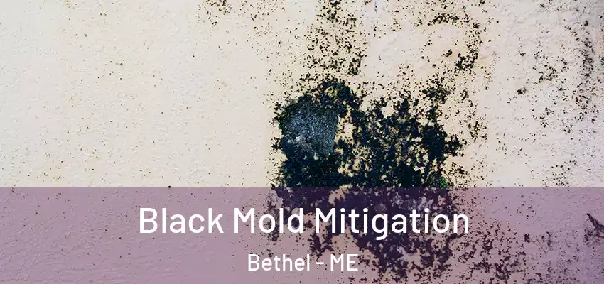  Black Mold Mitigation Bethel - ME