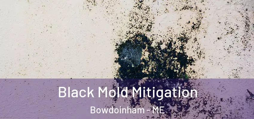 Black Mold Mitigation Bowdoinham - ME