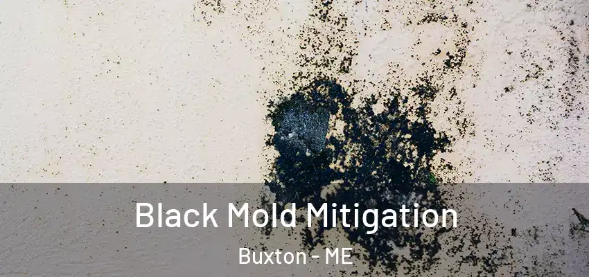  Black Mold Mitigation Buxton - ME