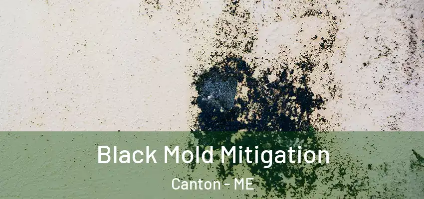  Black Mold Mitigation Canton - ME