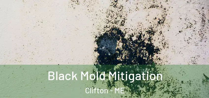  Black Mold Mitigation Clifton - ME