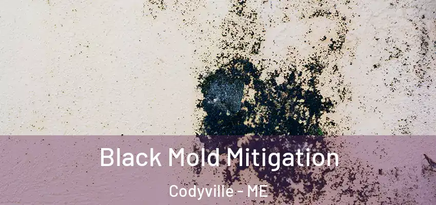  Black Mold Mitigation Codyville - ME
