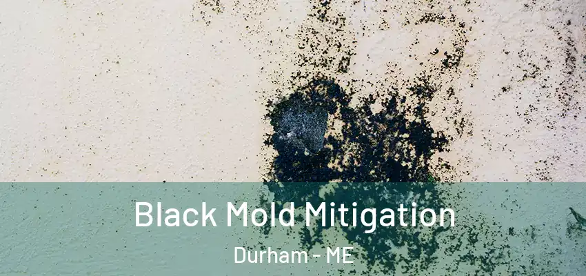  Black Mold Mitigation Durham - ME