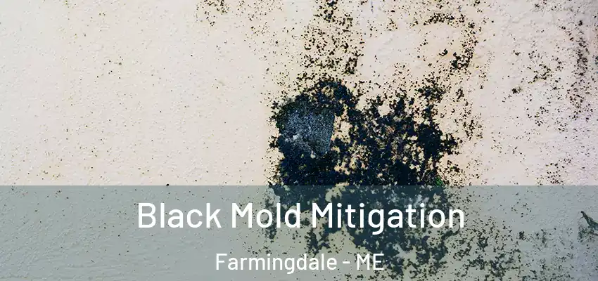  Black Mold Mitigation Farmingdale - ME