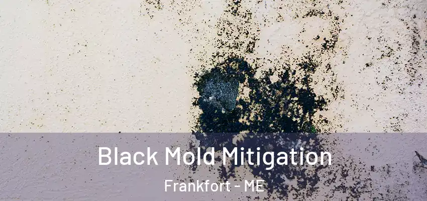  Black Mold Mitigation Frankfort - ME