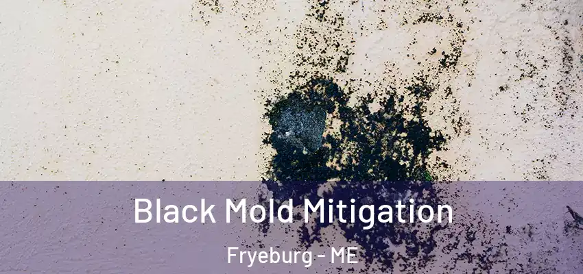  Black Mold Mitigation Fryeburg - ME