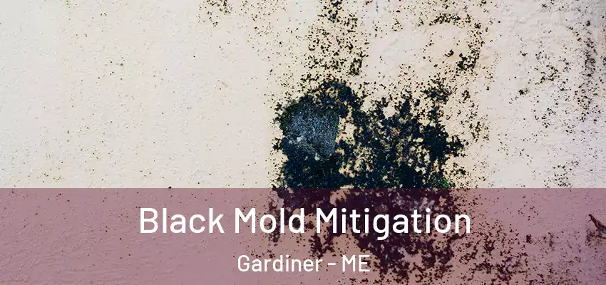  Black Mold Mitigation Gardiner - ME