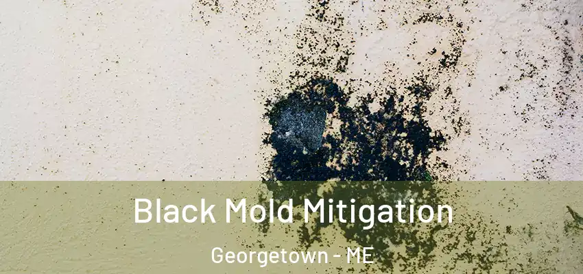  Black Mold Mitigation Georgetown - ME