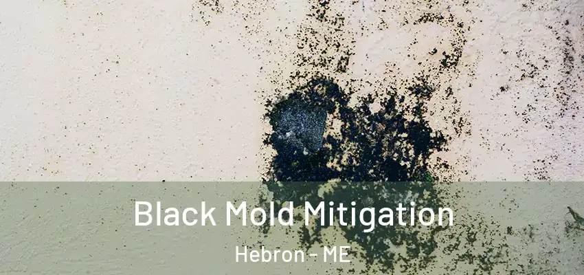  Black Mold Mitigation Hebron - ME