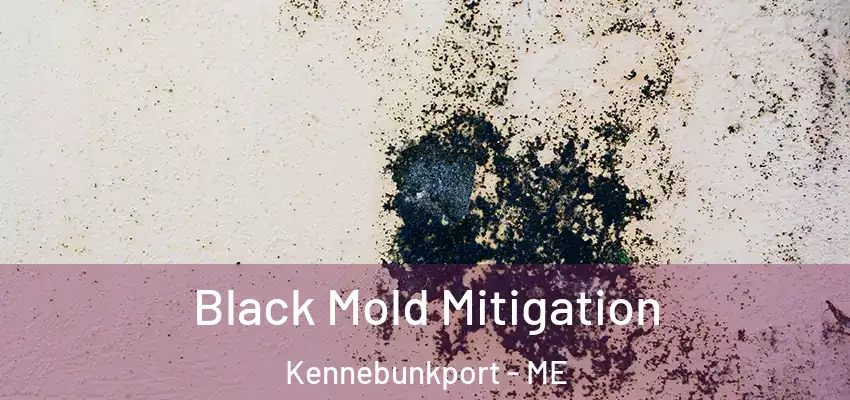  Black Mold Mitigation Kennebunkport - ME