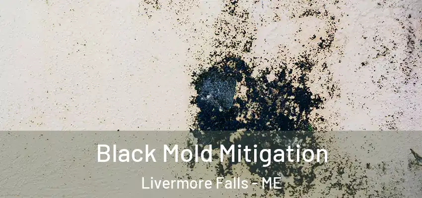  Black Mold Mitigation Livermore Falls - ME
