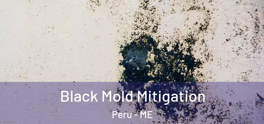  Black Mold Mitigation Peru - ME