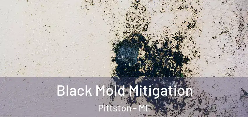  Black Mold Mitigation Pittston - ME