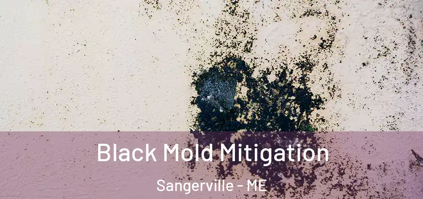  Black Mold Mitigation Sangerville - ME
