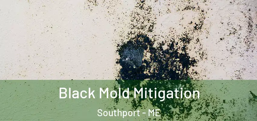  Black Mold Mitigation Southport - ME