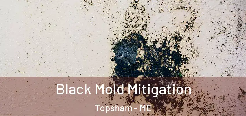  Black Mold Mitigation Topsham - ME