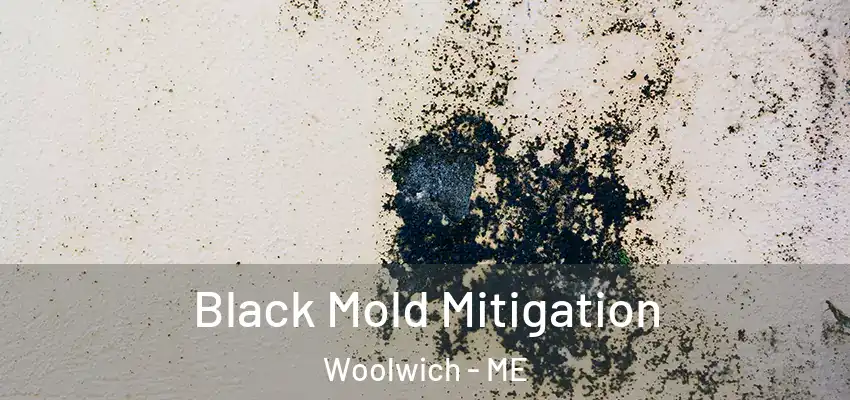  Black Mold Mitigation Woolwich - ME