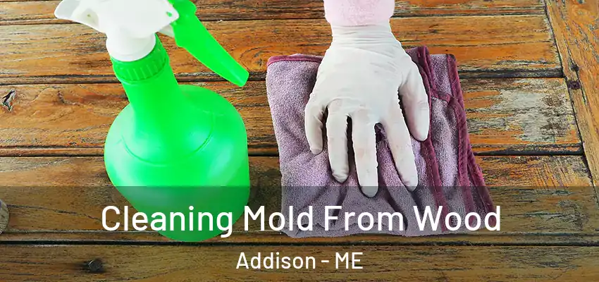  Cleaning Mold From Wood Addison - ME