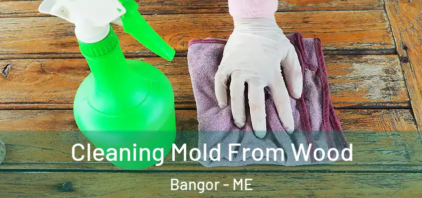  Cleaning Mold From Wood Bangor - ME