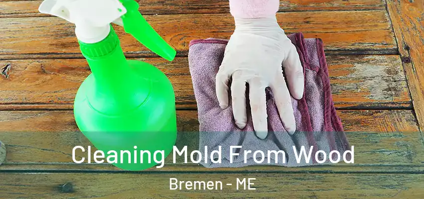  Cleaning Mold From Wood Bremen - ME