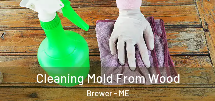  Cleaning Mold From Wood Brewer - ME