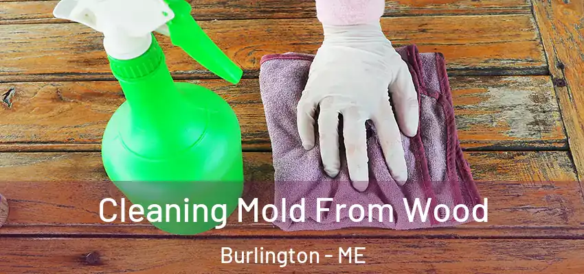  Cleaning Mold From Wood Burlington - ME