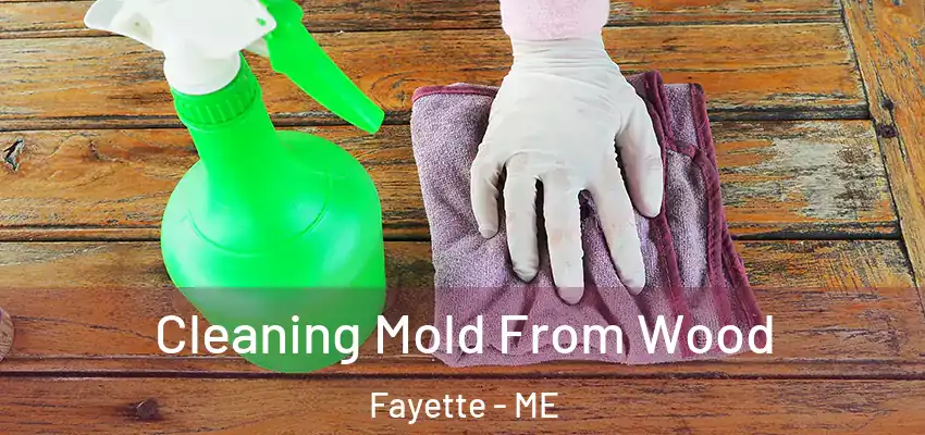  Cleaning Mold From Wood Fayette - ME