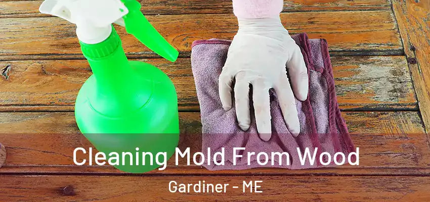  Cleaning Mold From Wood Gardiner - ME