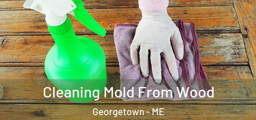  Cleaning Mold From Wood Georgetown - ME