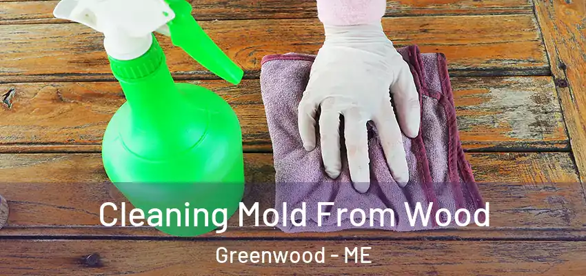  Cleaning Mold From Wood Greenwood - ME