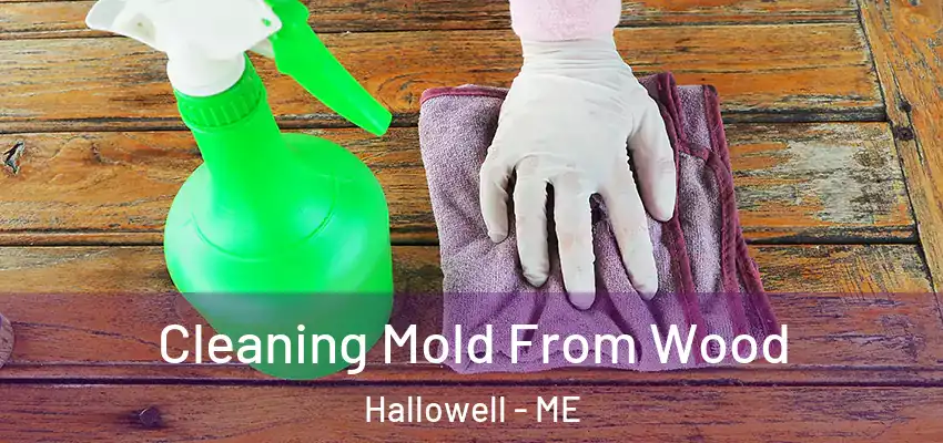  Cleaning Mold From Wood Hallowell - ME