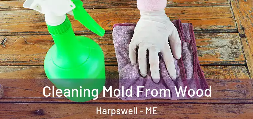  Cleaning Mold From Wood Harpswell - ME
