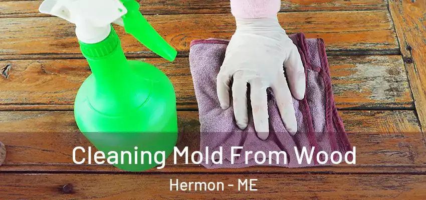  Cleaning Mold From Wood Hermon - ME