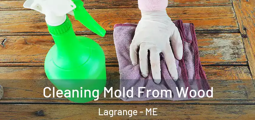  Cleaning Mold From Wood Lagrange - ME
