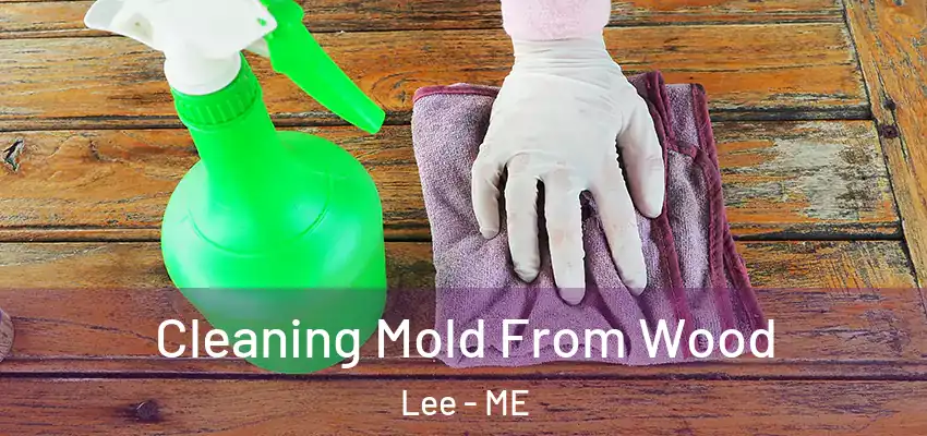  Cleaning Mold From Wood Lee - ME