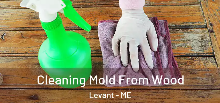  Cleaning Mold From Wood Levant - ME