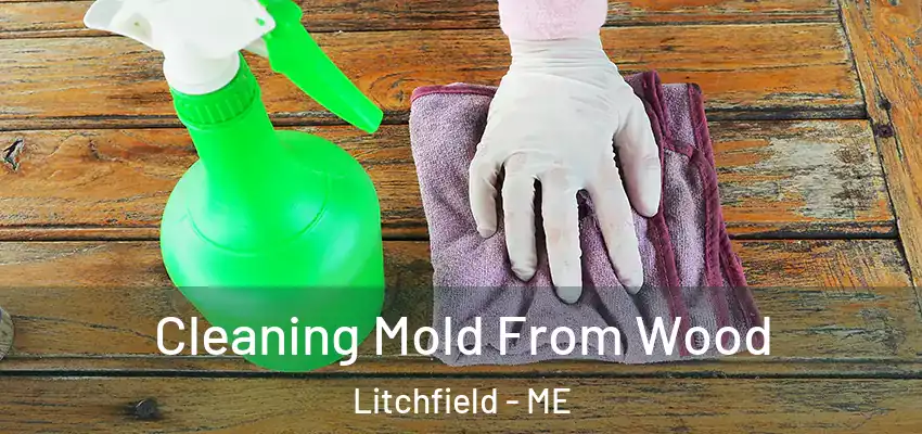  Cleaning Mold From Wood Litchfield - ME