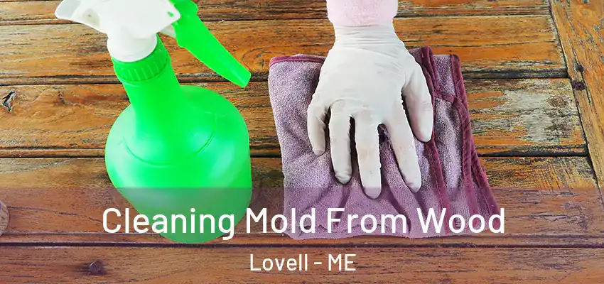  Cleaning Mold From Wood Lovell - ME
