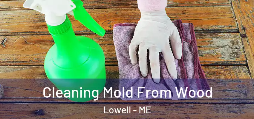  Cleaning Mold From Wood Lowell - ME