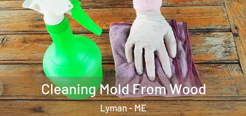  Cleaning Mold From Wood Lyman - ME