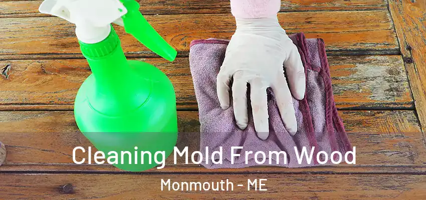  Cleaning Mold From Wood Monmouth - ME