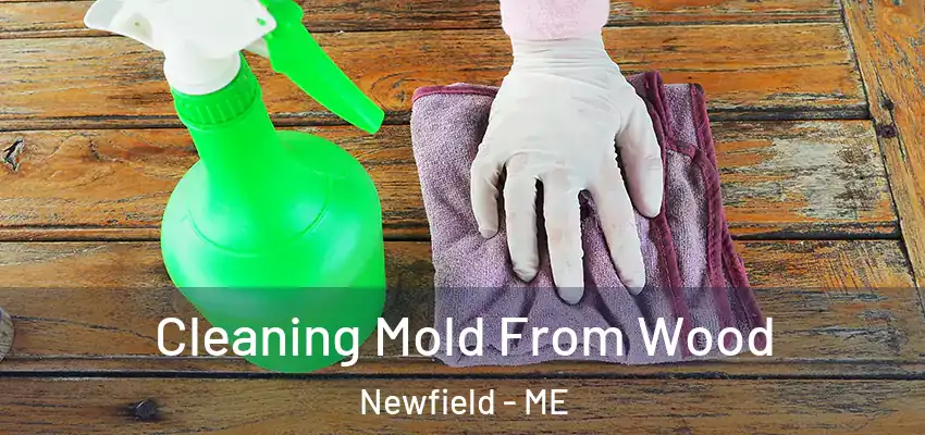  Cleaning Mold From Wood Newfield - ME