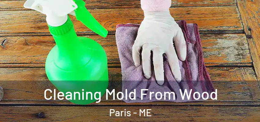  Cleaning Mold From Wood Paris - ME